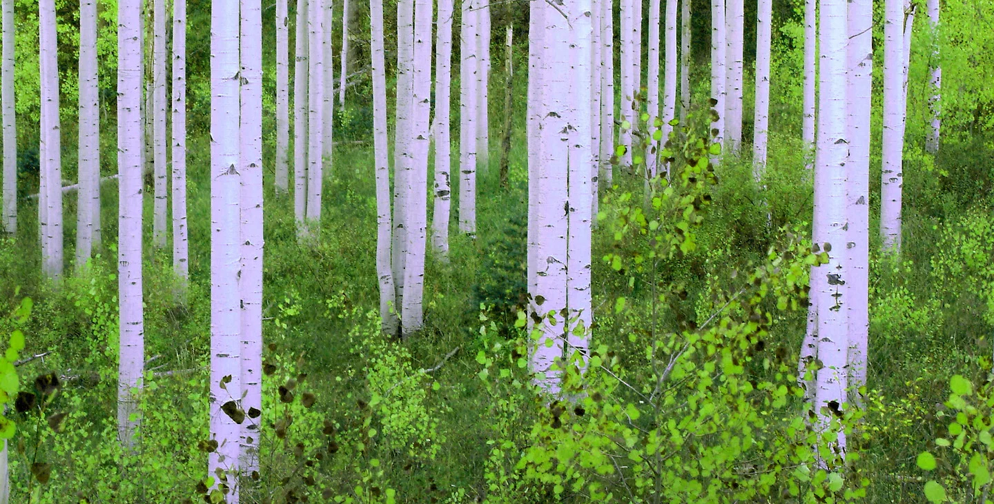 Fine art photography by Rick Nye — Kodak Gallery Award-winning photographer in Orem, Utah